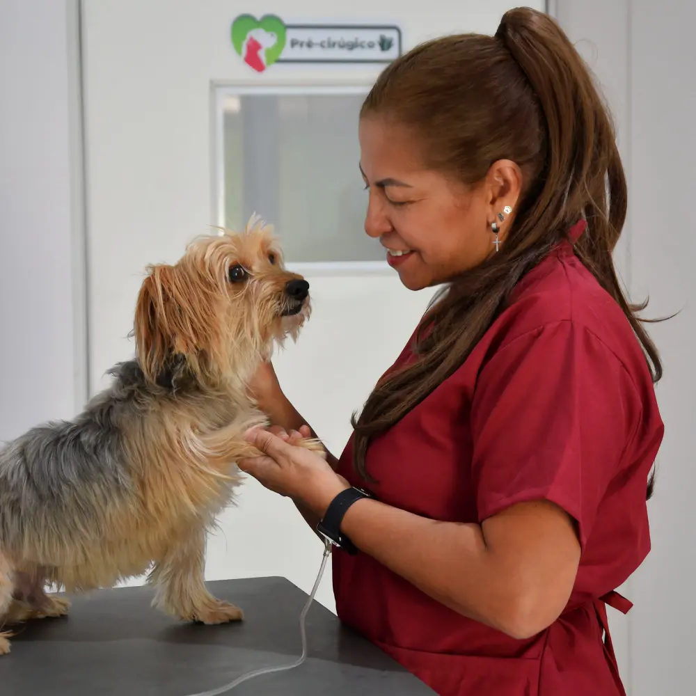 Centro Veterinário Animal & Cia