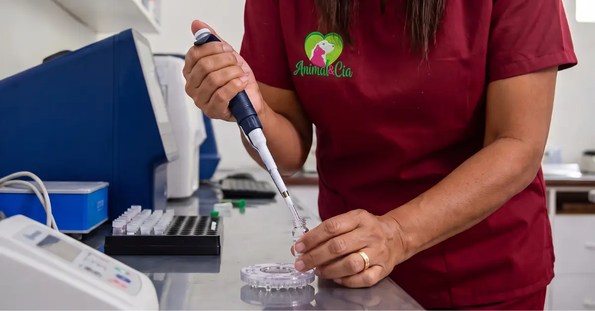 Exames de Sangue